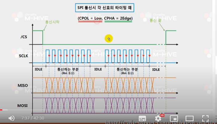 클럭의 극성